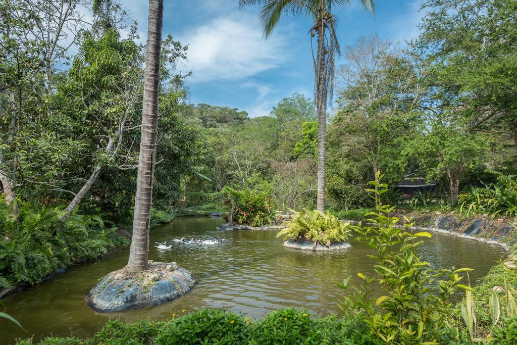 Villa Azalea Inn & Organic Farm JALISCO Dış mekan fotoğraf