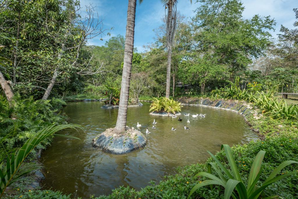Villa Azalea Inn & Organic Farm JALISCO Dış mekan fotoğraf