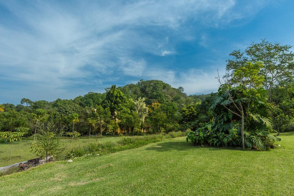 Villa Azalea Inn & Organic Farm JALISCO Dış mekan fotoğraf