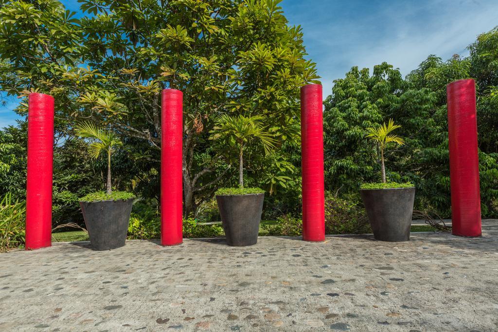 Villa Azalea Inn & Organic Farm JALISCO Dış mekan fotoğraf