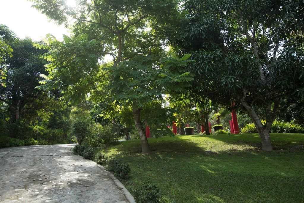 Villa Azalea Inn & Organic Farm JALISCO Dış mekan fotoğraf