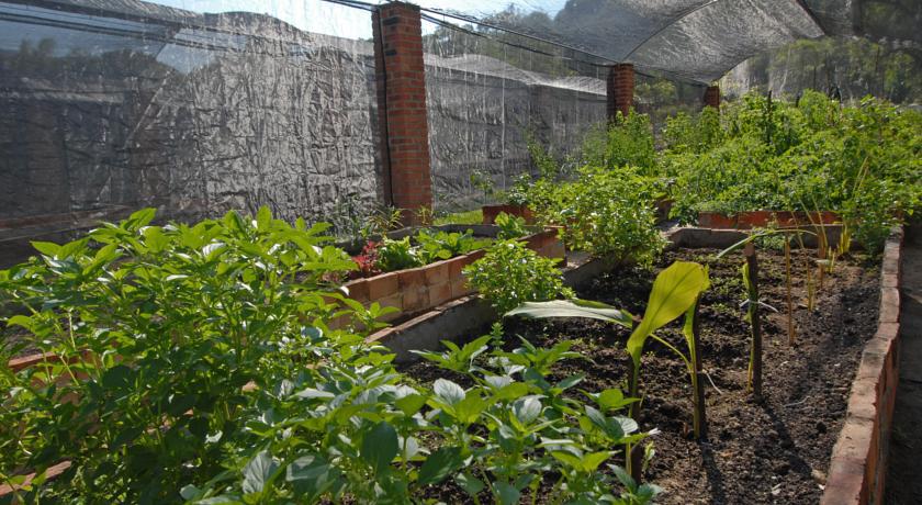 Villa Azalea Inn & Organic Farm JALISCO Dış mekan fotoğraf